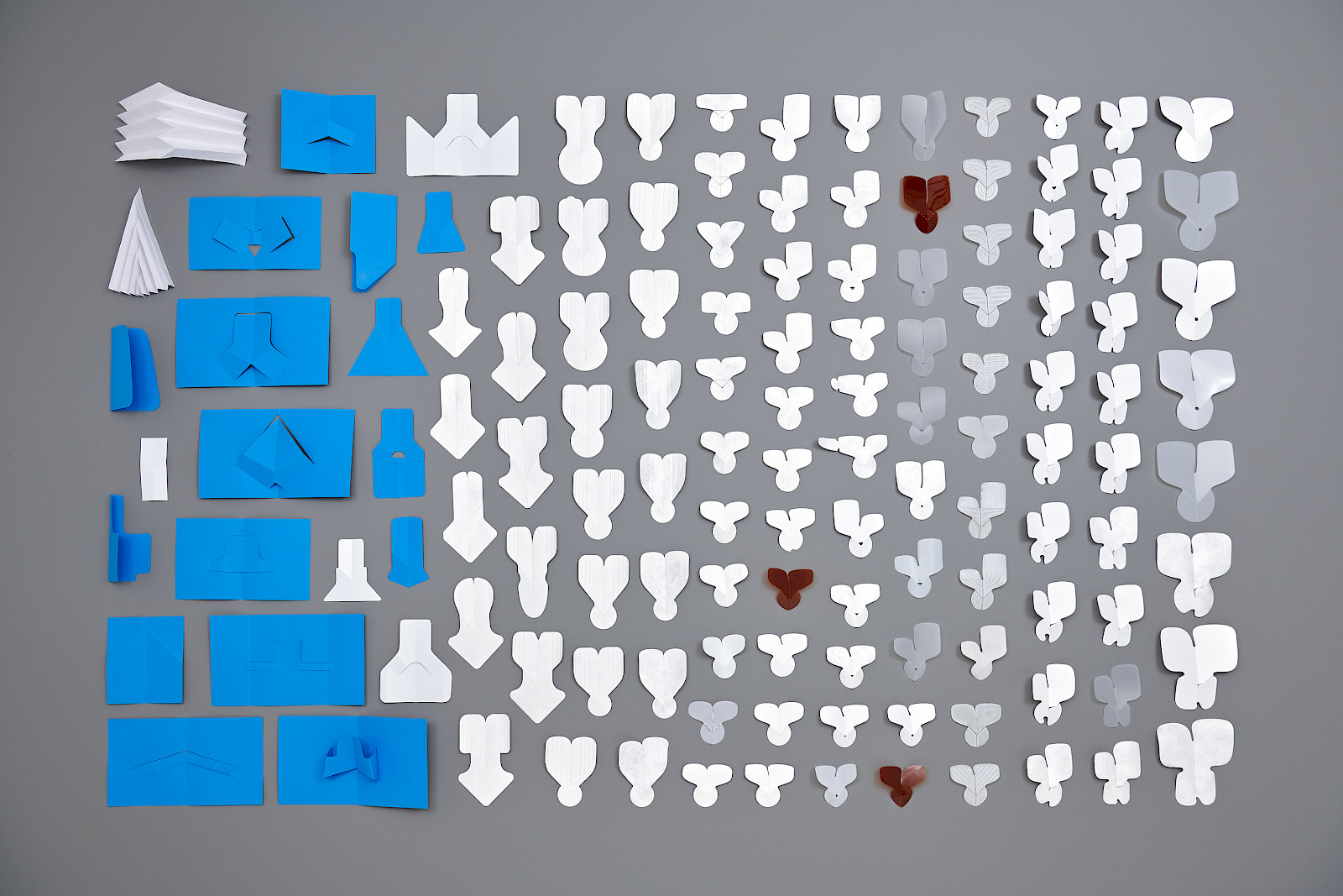 Prototypes characterise the form-finding process.