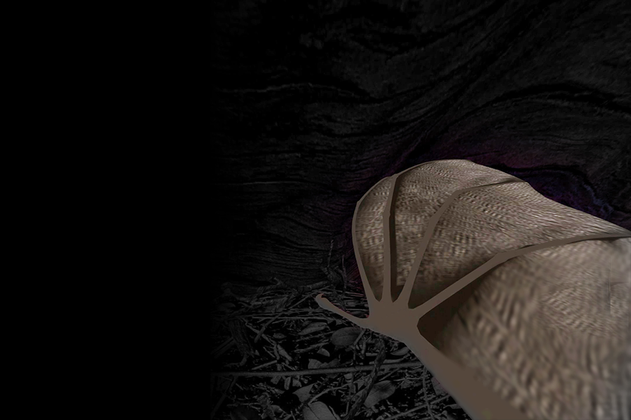 Somebodyelse (BATVISION)