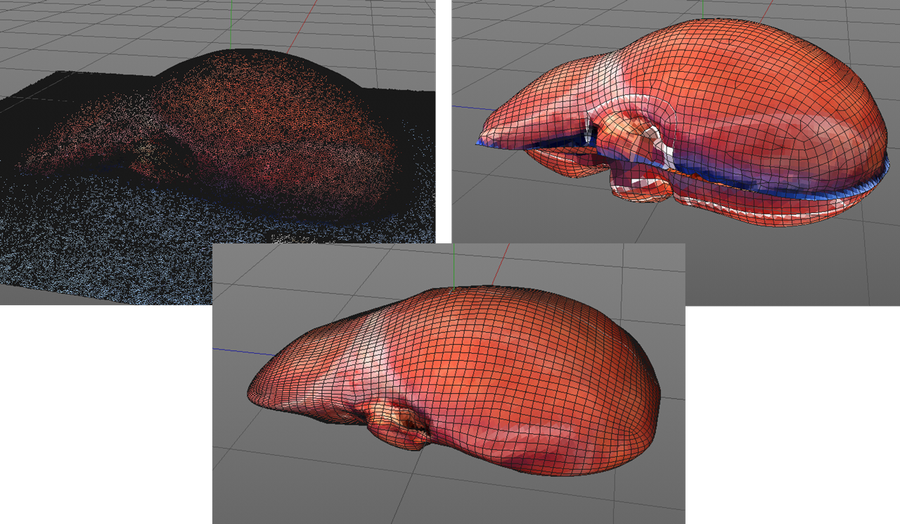 Datenaufbereitung für die virtuelle Vermittlung – von der Photogrammetrie bis zum interaktiven 3D Modell