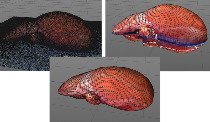 Datenaufbereitung für die virtuelle Vermittlung – von der Photogrammetrie bis zum interaktiven 3D Modell