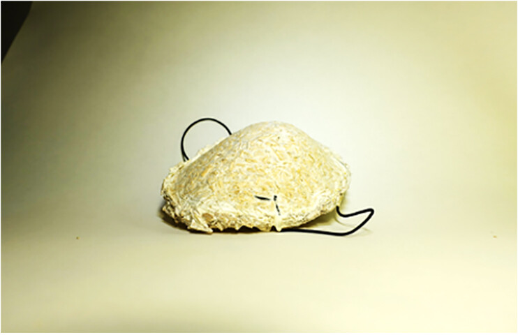Biodegradable Mask