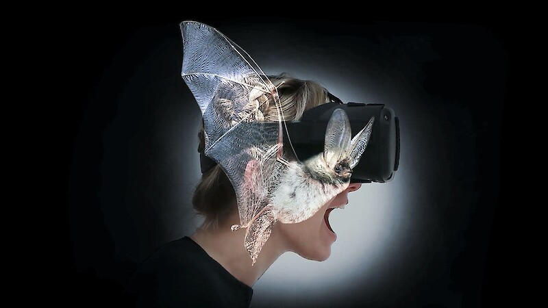 BATVISION