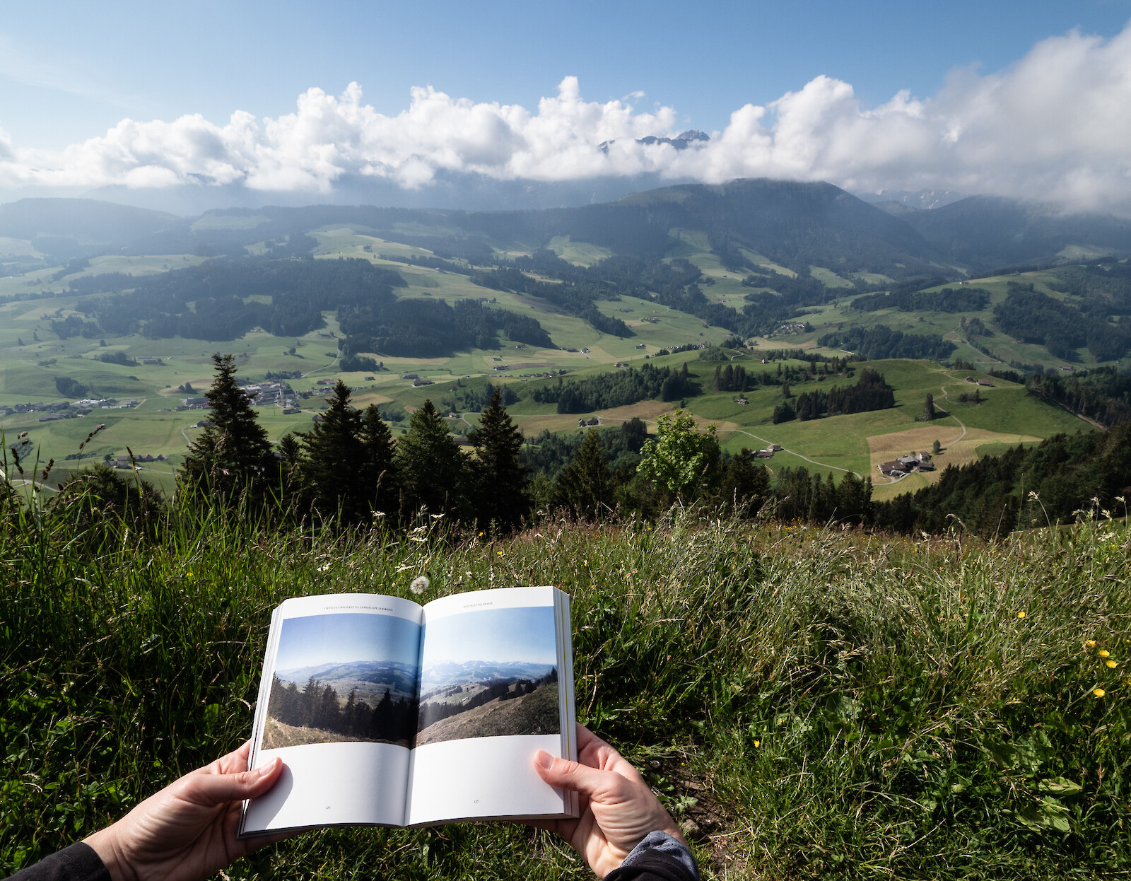 Developing an Educational Format on Landscape Looking