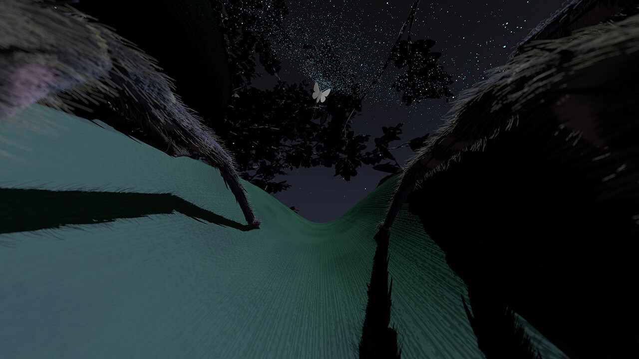 Excerpt from the BA film "With the Senses of a Spider from Barbara Schuler