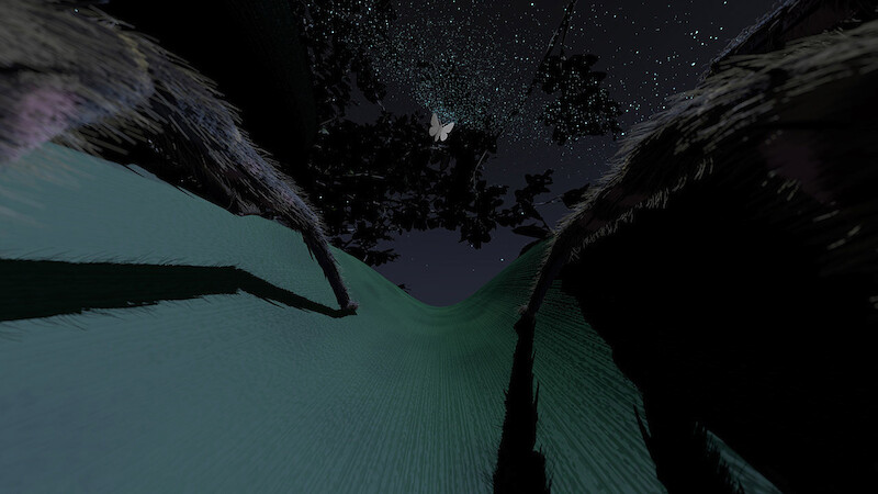 “With the Senses of a Spider –An arachnocentric Experience”