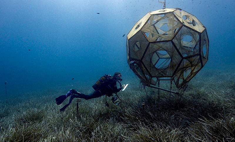 Interfacing the Ocean: Towards a Sea Change in Design