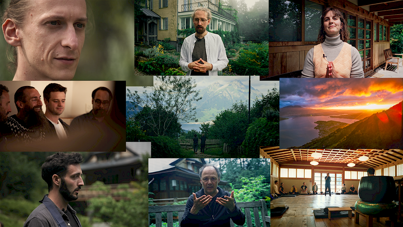 Collage von DMT-Studie Storyline