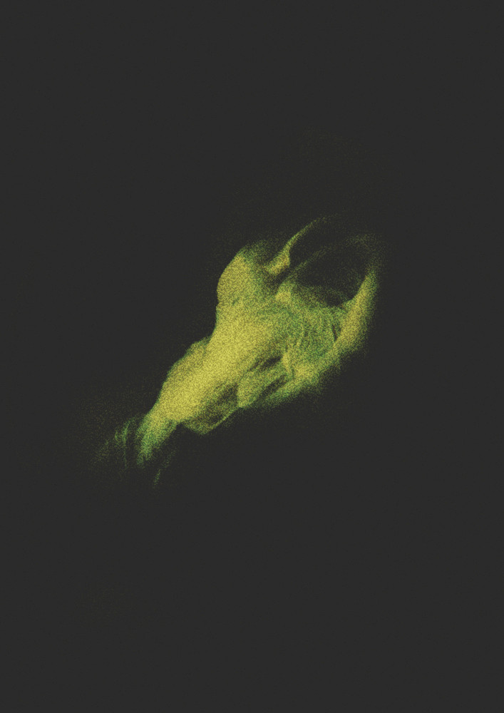 Ecologies of Matter