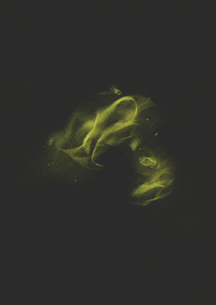 Ecologies of Matter