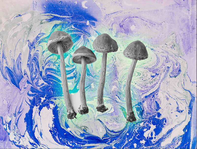 Shaping Psychedelic Health – A transdisciplinary communication format for renegotiating psychedelic substances in science and society