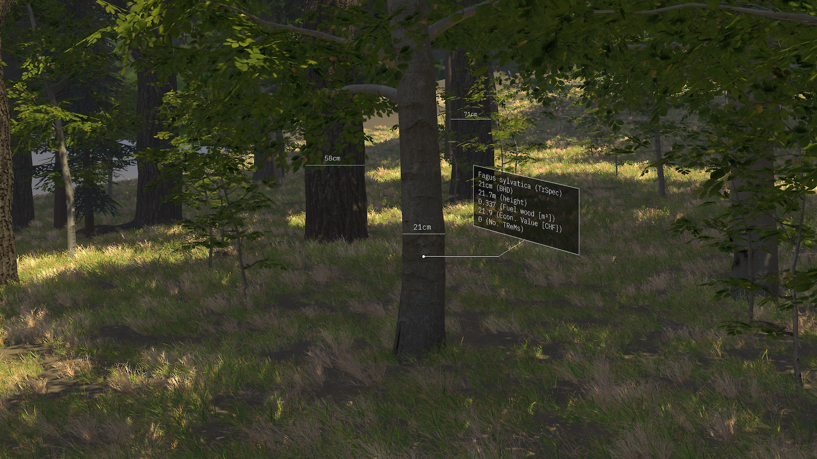 Konzeptvisualisierung: Einbindung ergänzender Informationen in den virtuellen Wald