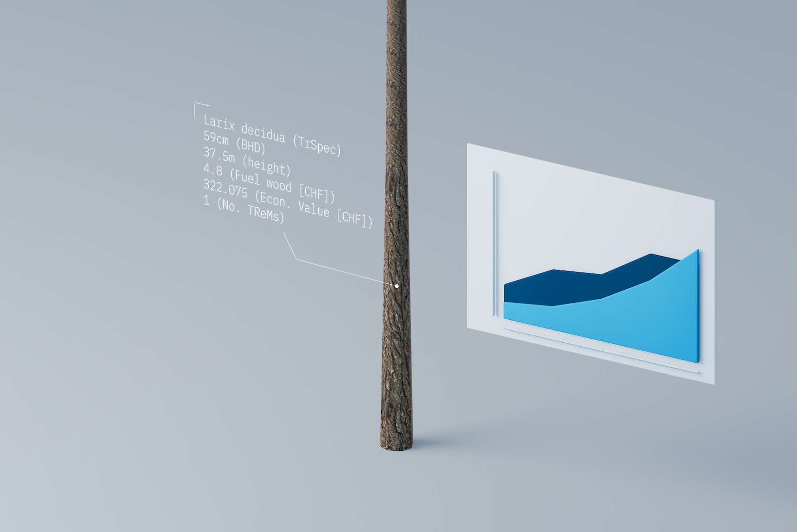 Beyond the Trees – Virtuelle Einblicke in die Zukunft des Waldes: Waldbewirtschaftung interaktiv erleben